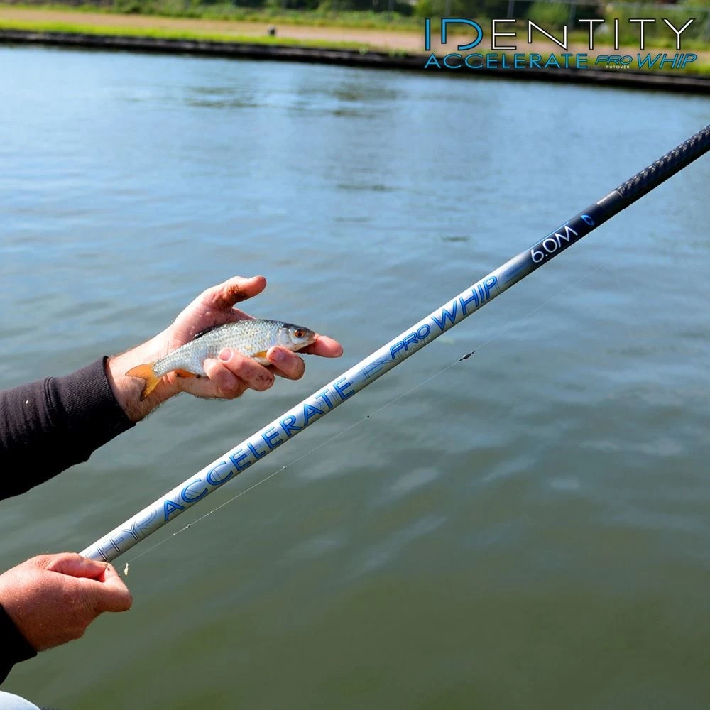 Cresta Identity Accelerate Whip | Oversteek 8 Cresta Identity Accelerate Whip | Oversteek - Afbeelding 6