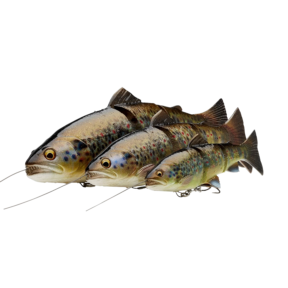 Savage Gear 4D Line Thru Trout | 25cm | Slow Sinking 4 Savage Gear 4D Line Thru Trout | 25cm | Slow Sinking - Afbeelding 2